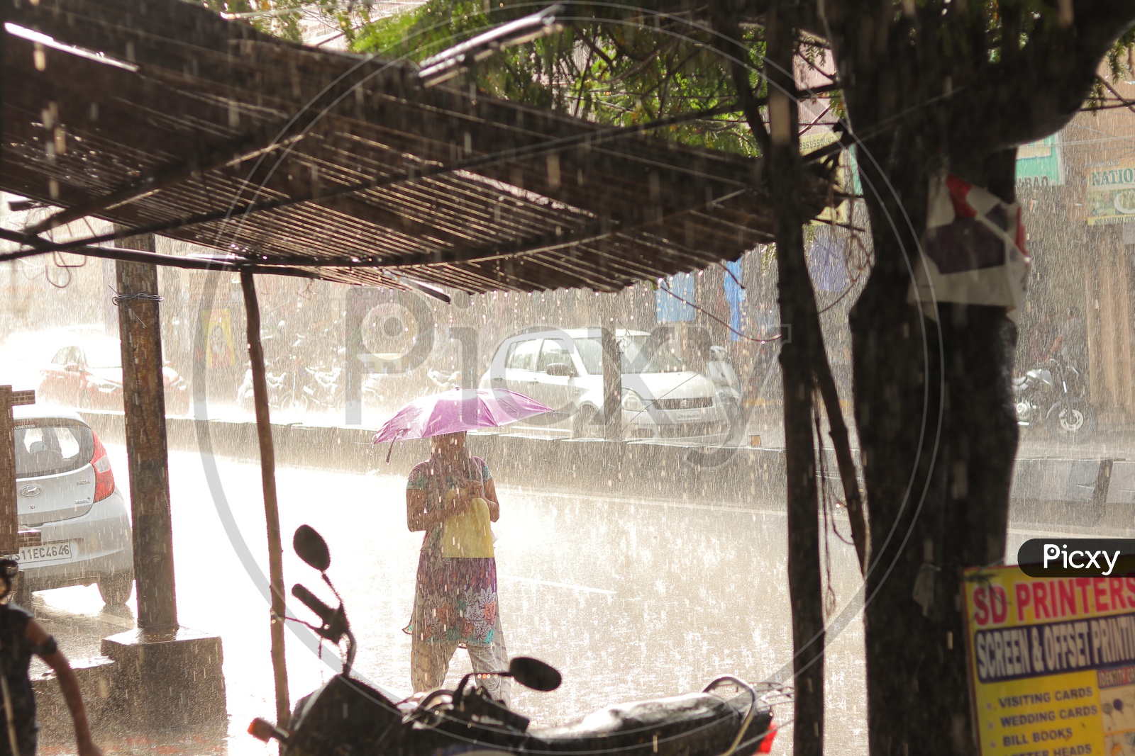 Woman carrying Umbrella in the Rain