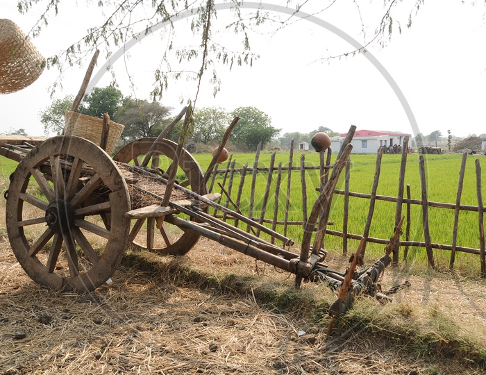 Bullock Cart In Rural Villages