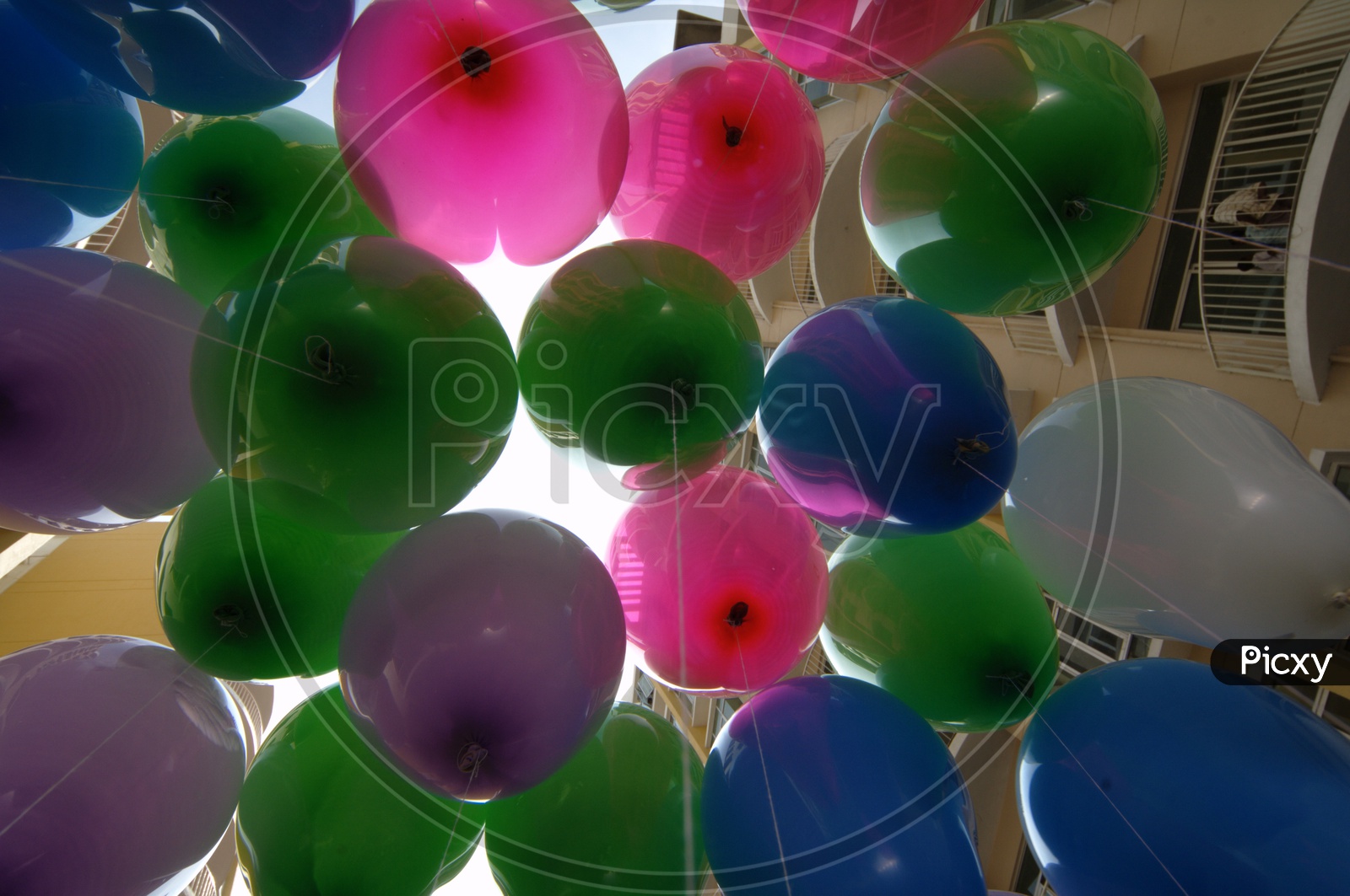 View of Colourful balloons from the bottom