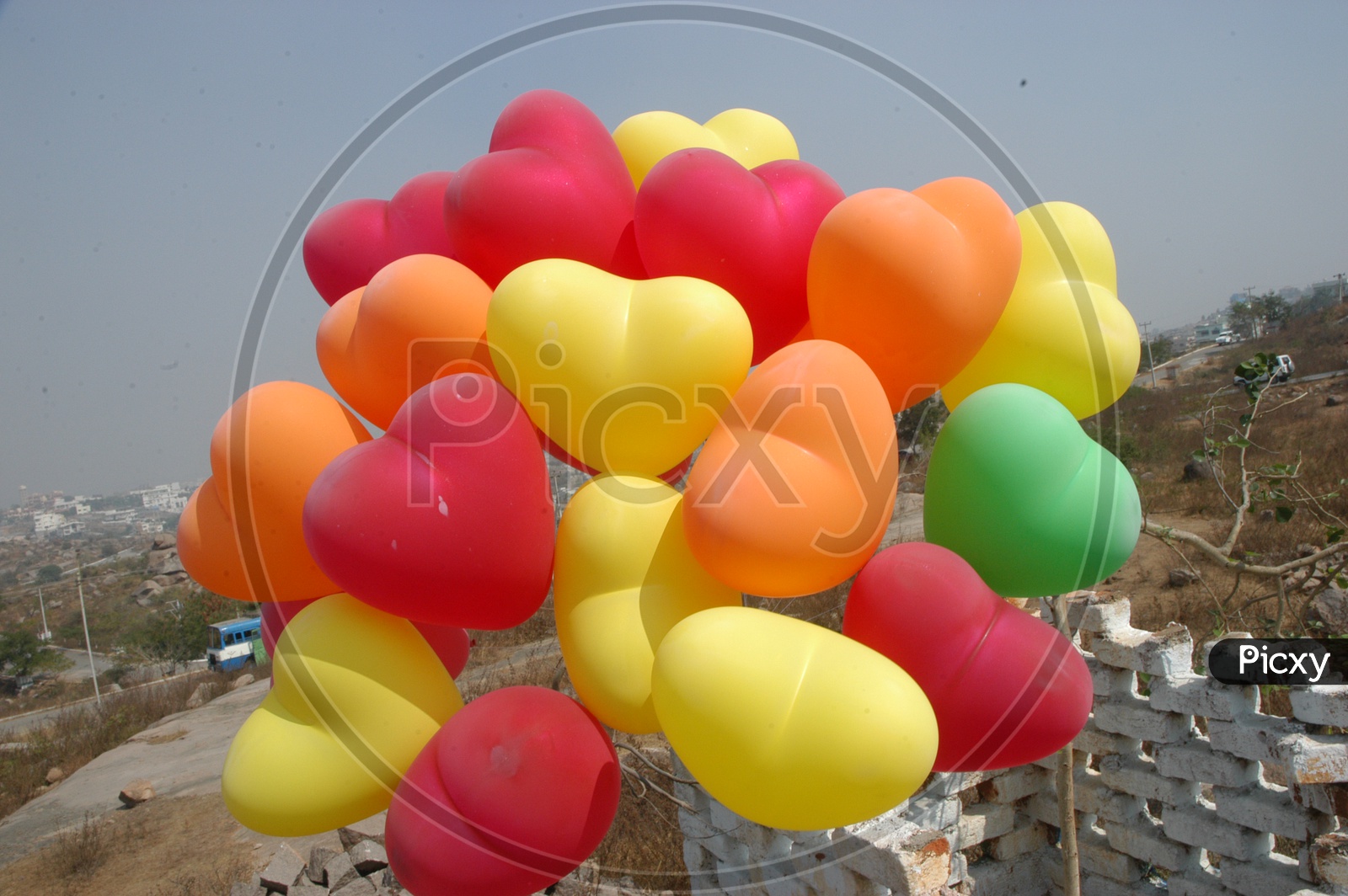 Colorful heart shaped balloons