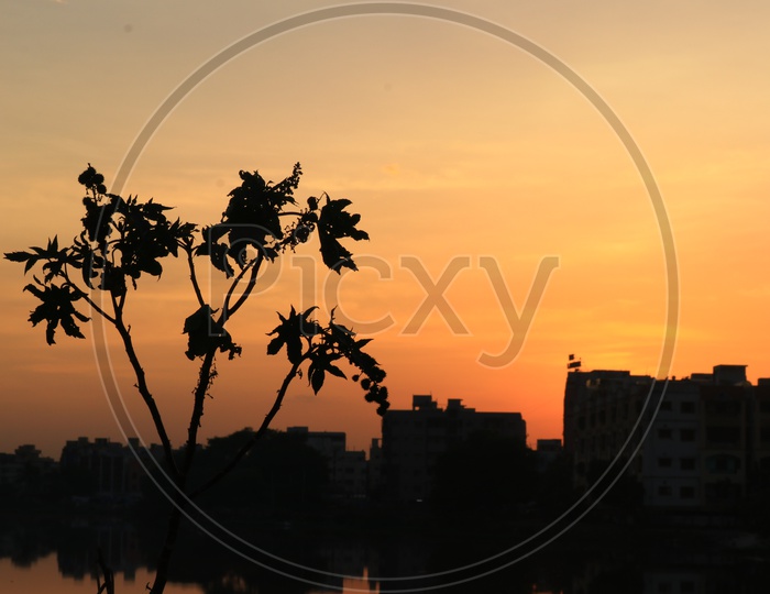 Silhouette of buildings and trees at Pragathi Nagar, Hyderabad