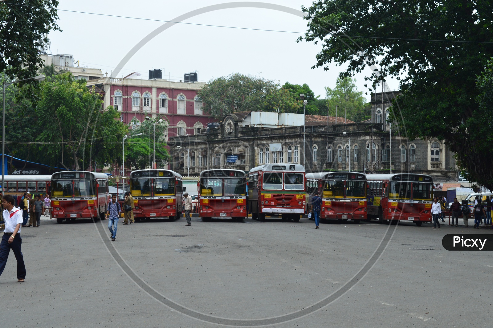 Buses in the bus stand