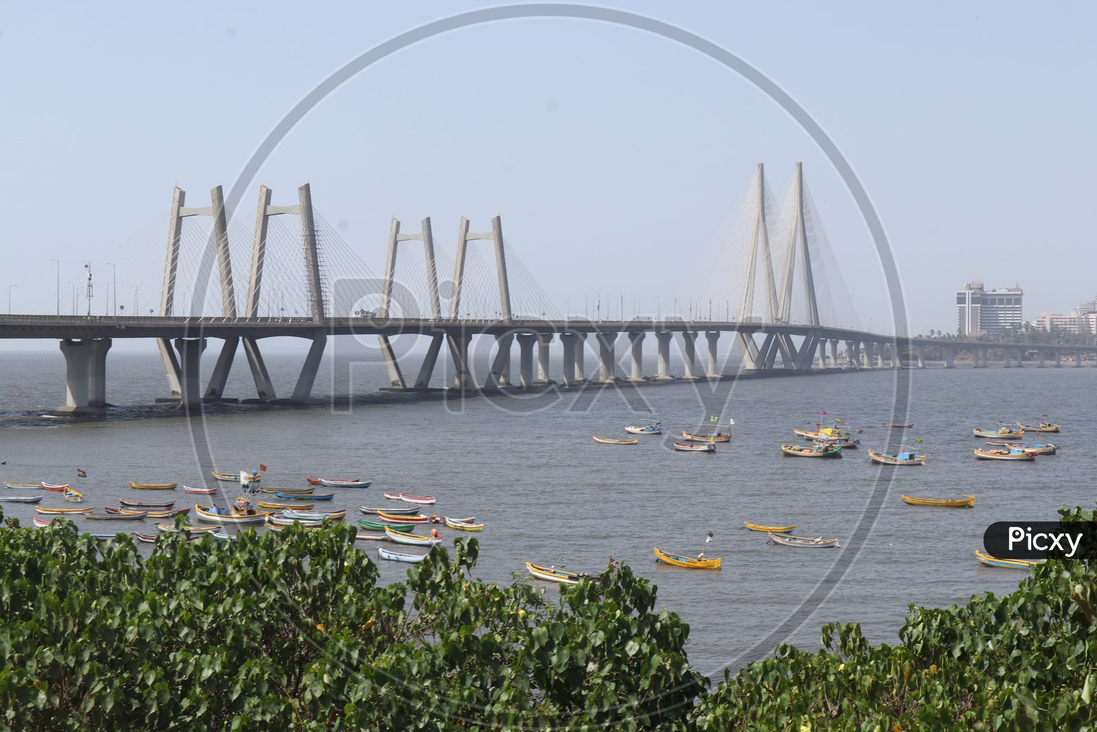 small boats sailing in Arabian sea with Mumbai Bridge in background