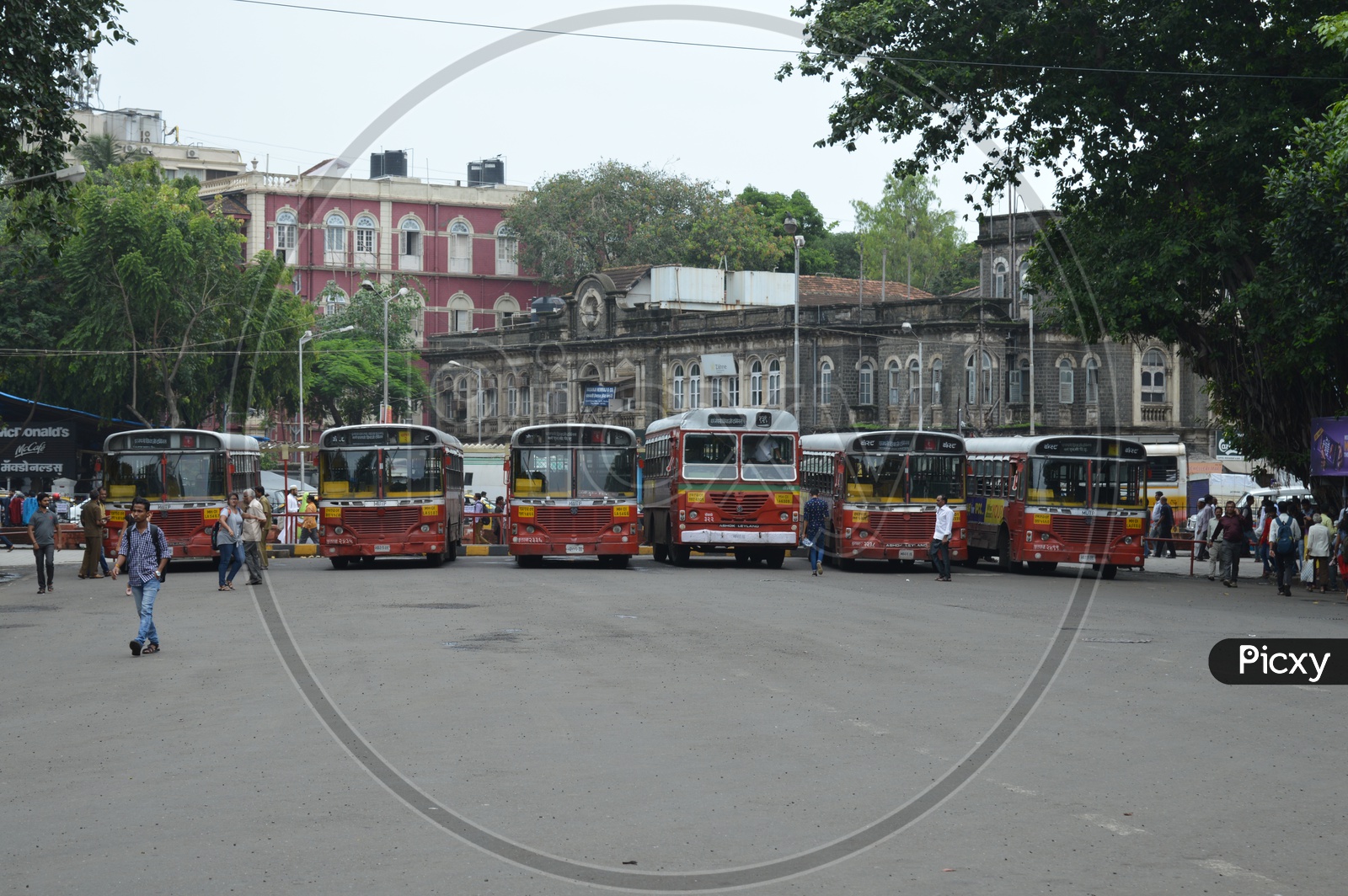 Buses in the bus stand