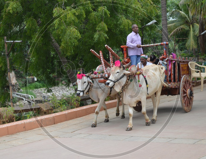 People travelling in a bullock cart