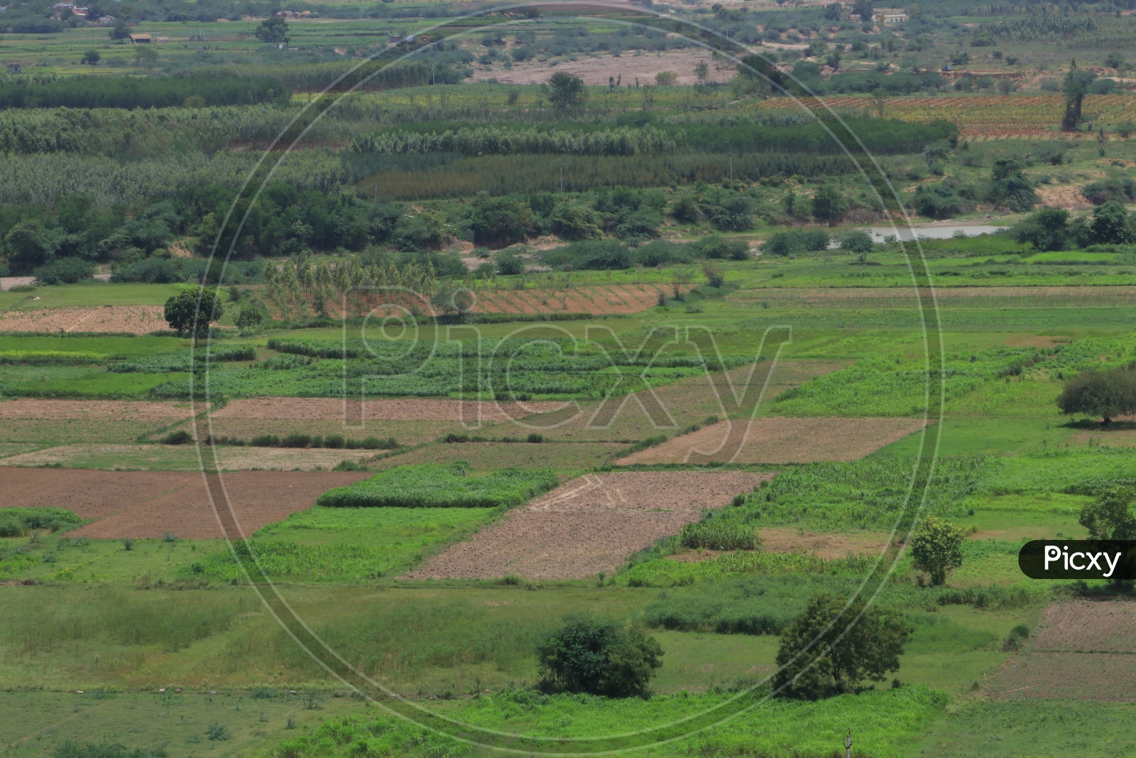Aerial view of agriculture fields in Vijayawada