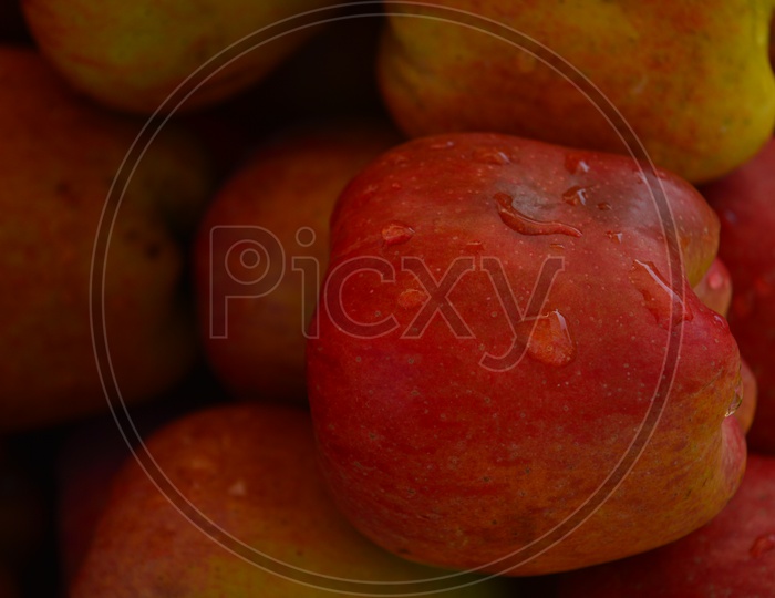 Apples Closeup Shot