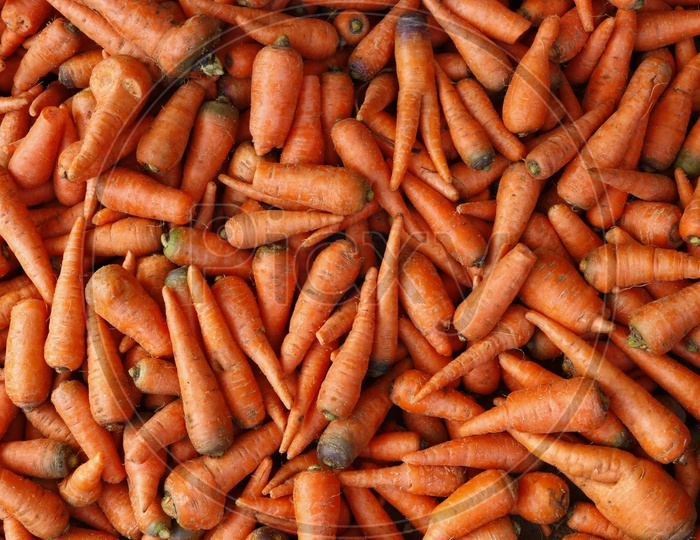 Carrots - Vegetables