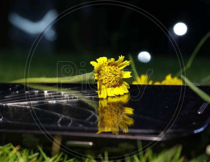 A yellow flower on a mobile with broken glass