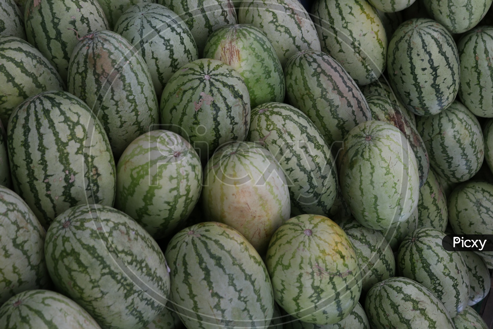 Watermelons arranged in Manner In a Vendor Stall