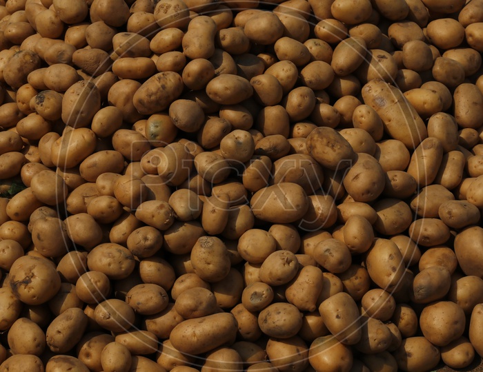 Potatoes In a market Closeup Shot