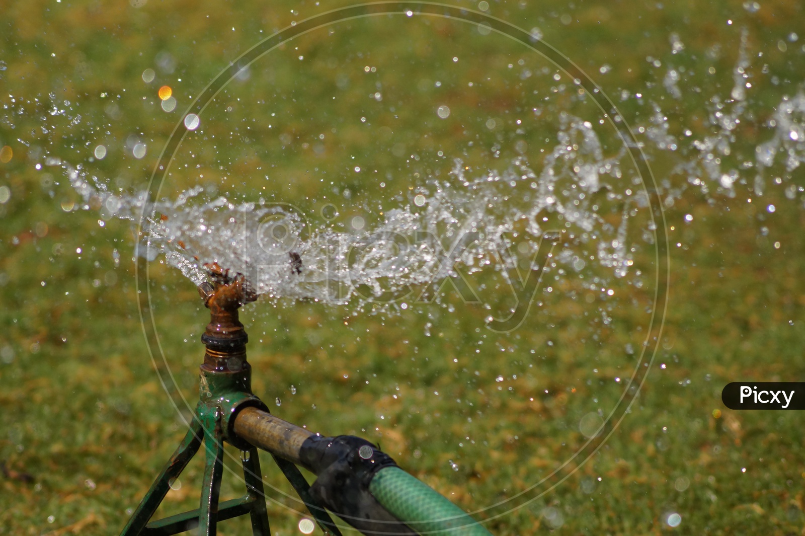 Water Sprinklers Sprinkling Water in a Garden