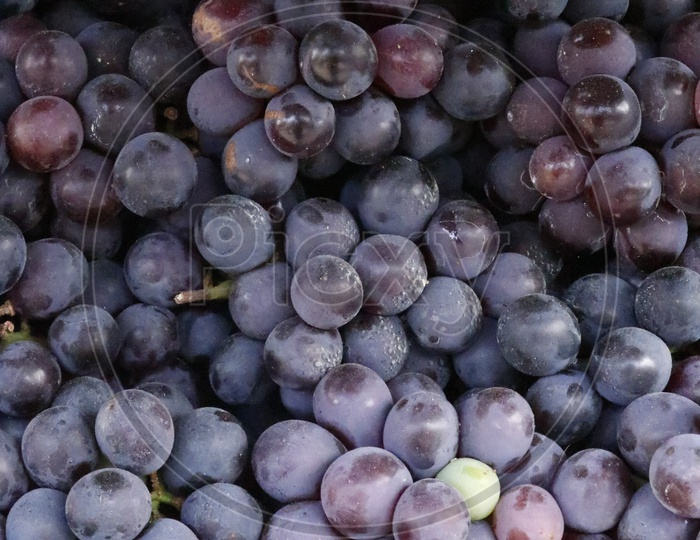 Blue Grapes Closeup Shot