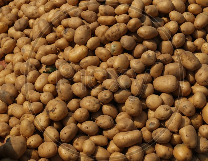 Potatoes In a market Closeup Shot