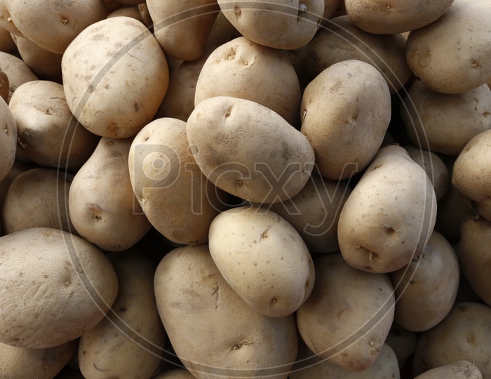 Potatoes - Vegetables