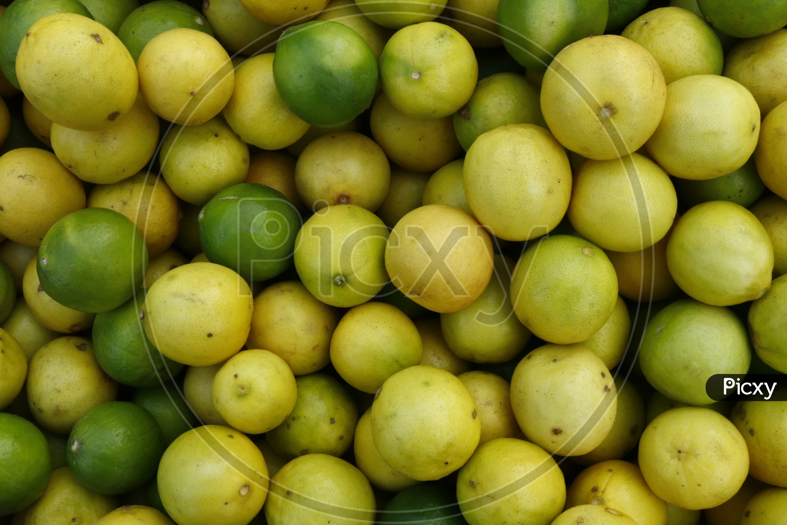 Lemons In a Vendor Stall Closeup Shots