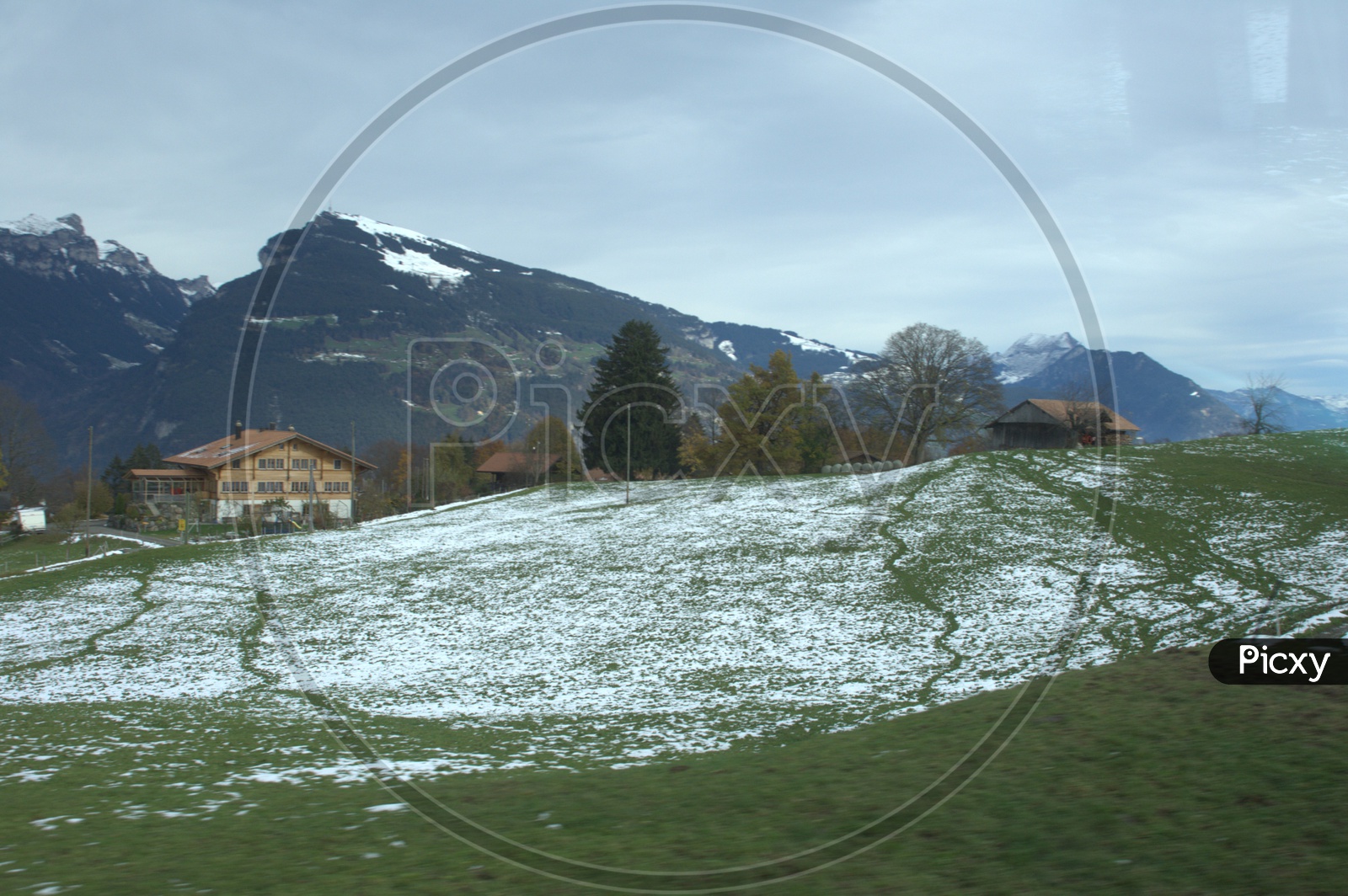 Snow on the grass alongside the Swiss alps