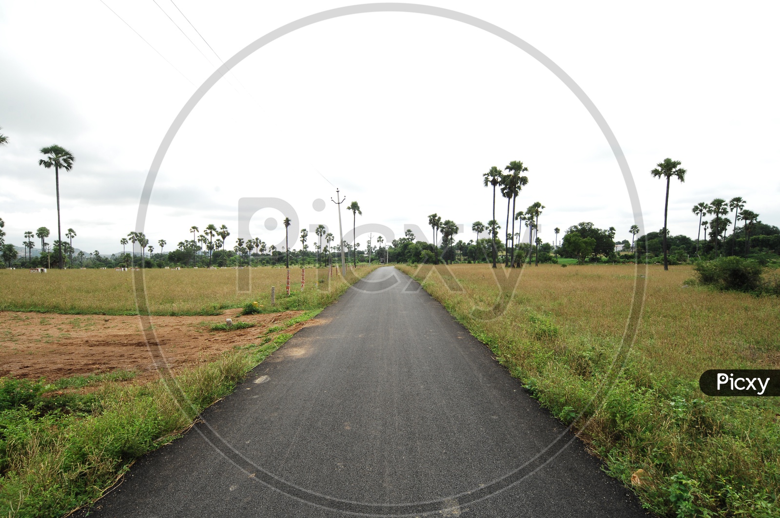 Roads In Rural Villages