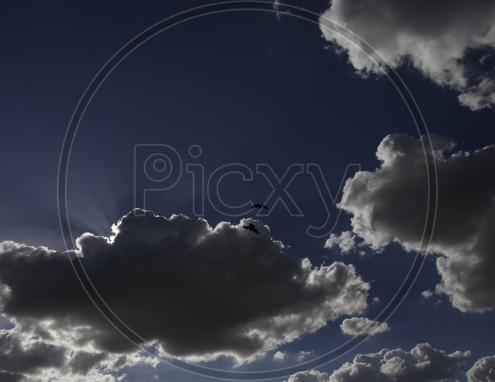 Birds in flight alongside the cumulus clouds in blue sky