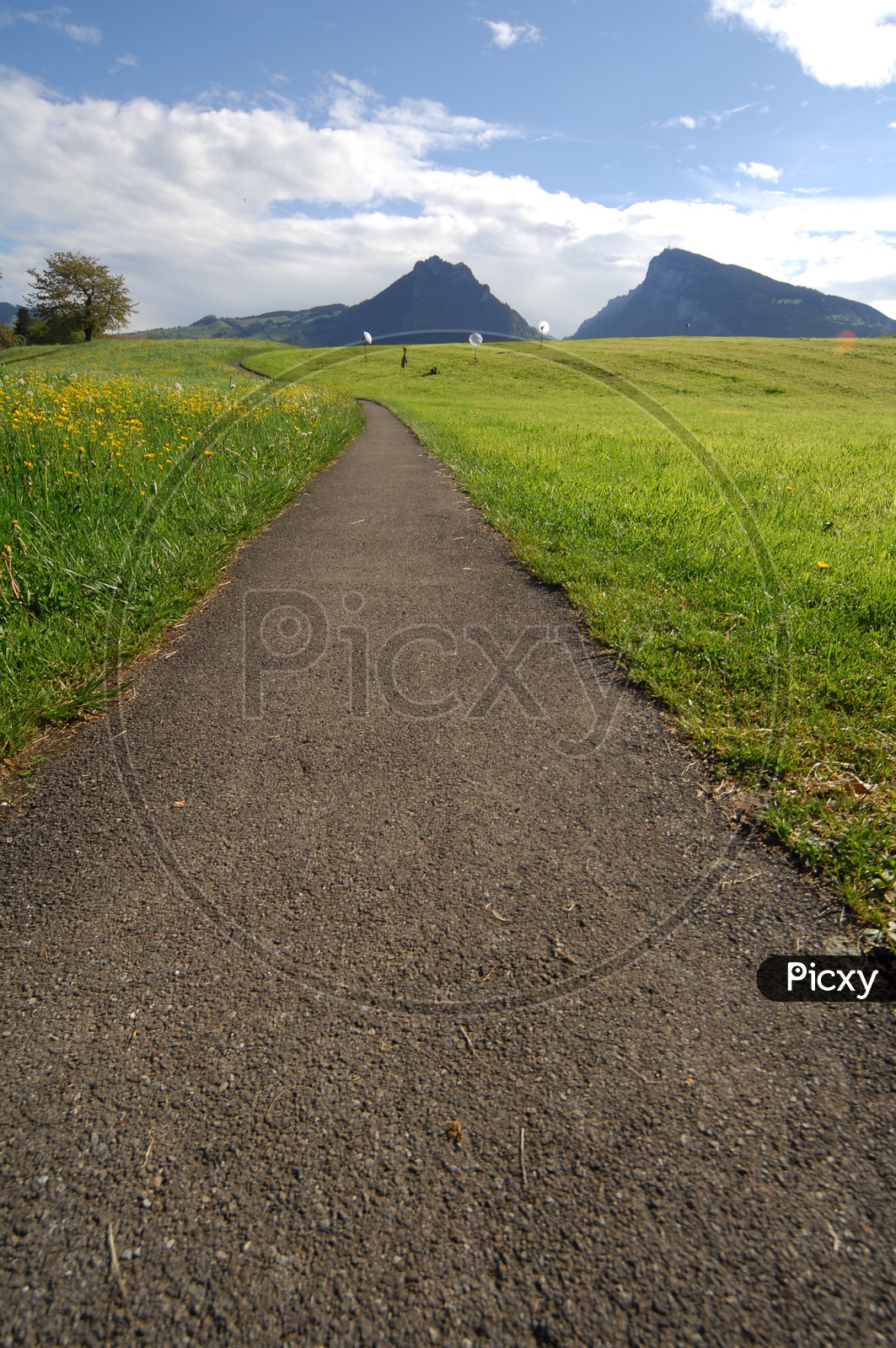 A small road between green lands