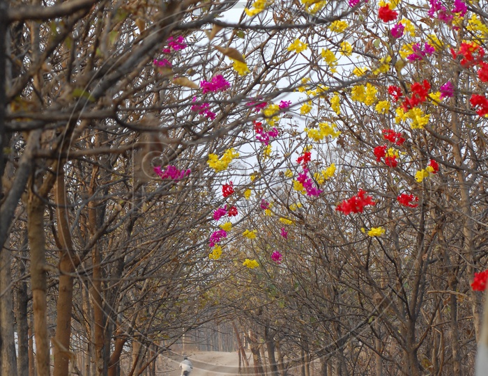 Dry trees with various colors of flowers