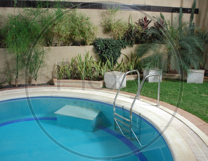 Backyard Swimming pool with plants and lawn around