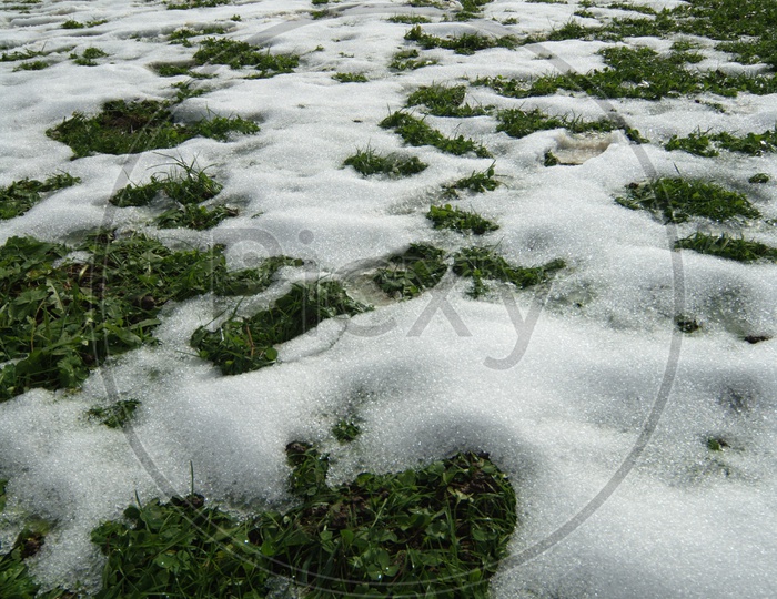 Grassland covered with snow