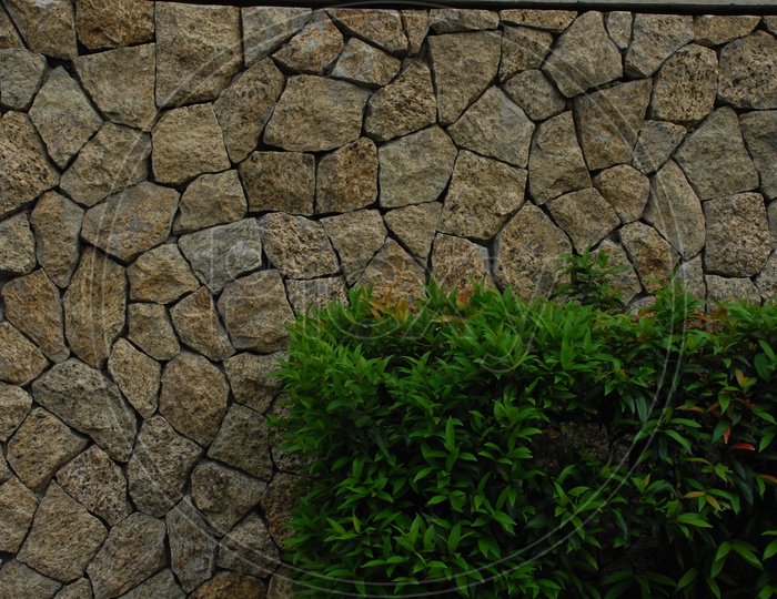 A wall built with rocks  and a small tree in front of it