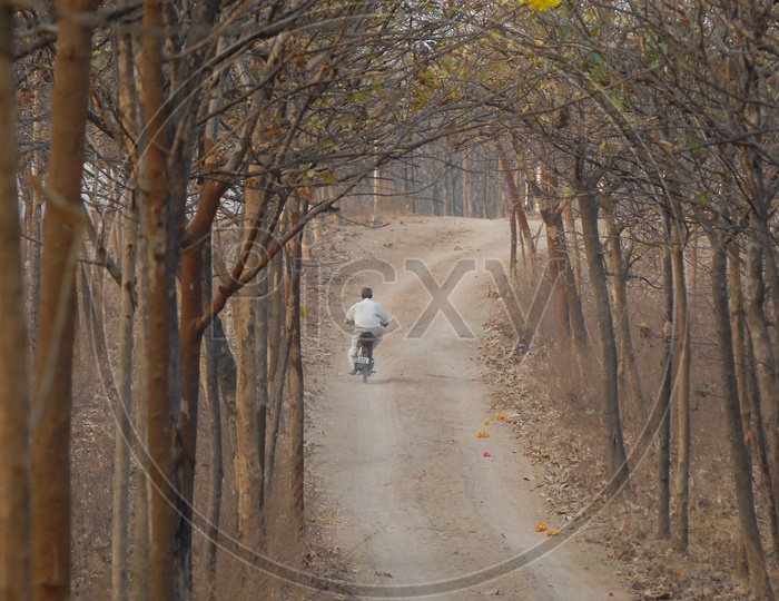 A person moving on a motorcycle in the Forest