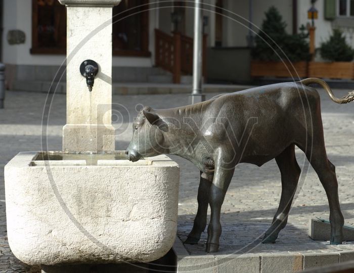 Calf Drinking water statue