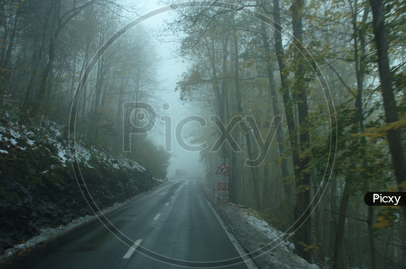 View of roadway covered with trees during fog