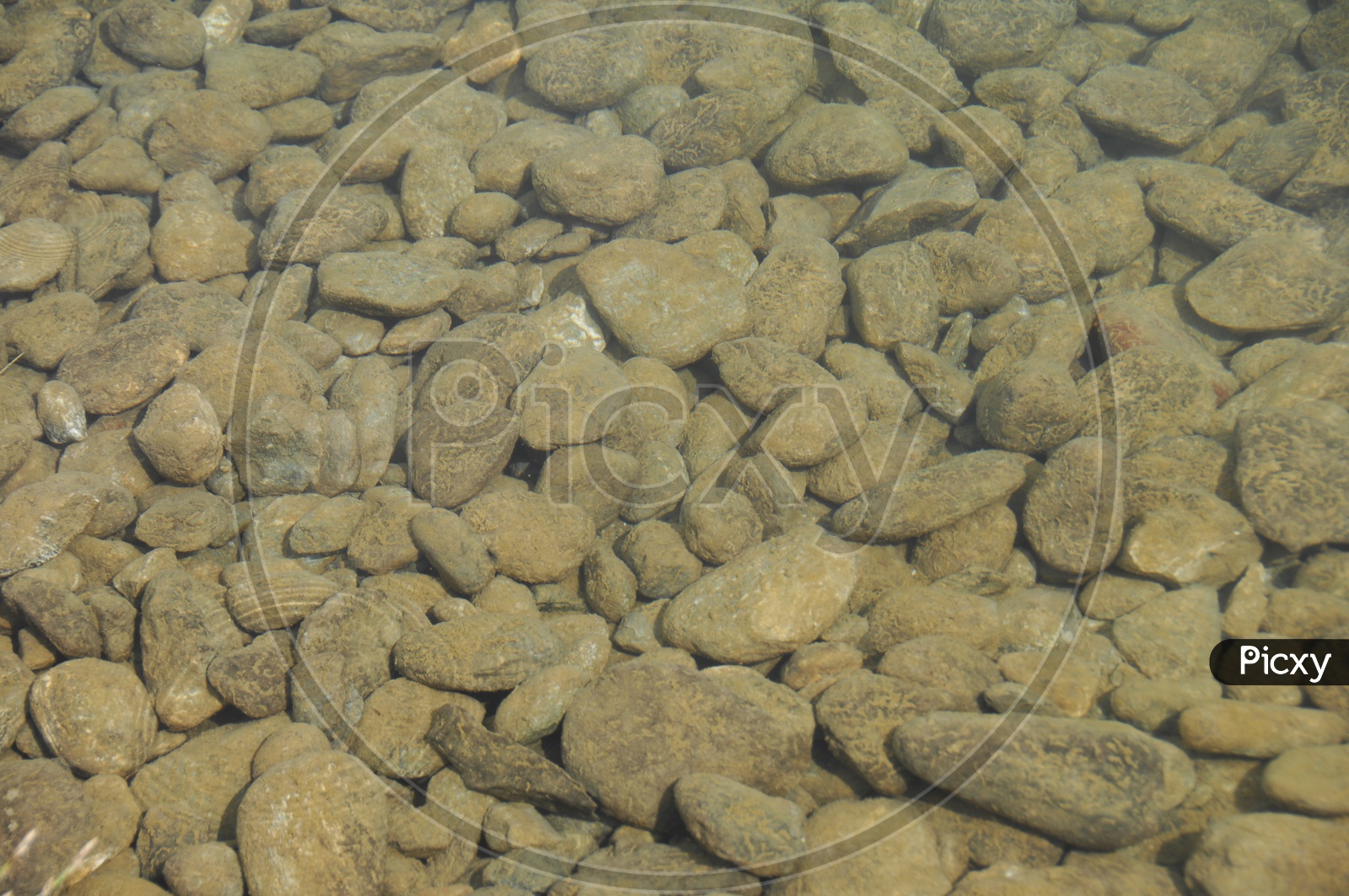 Pebble stones in the water