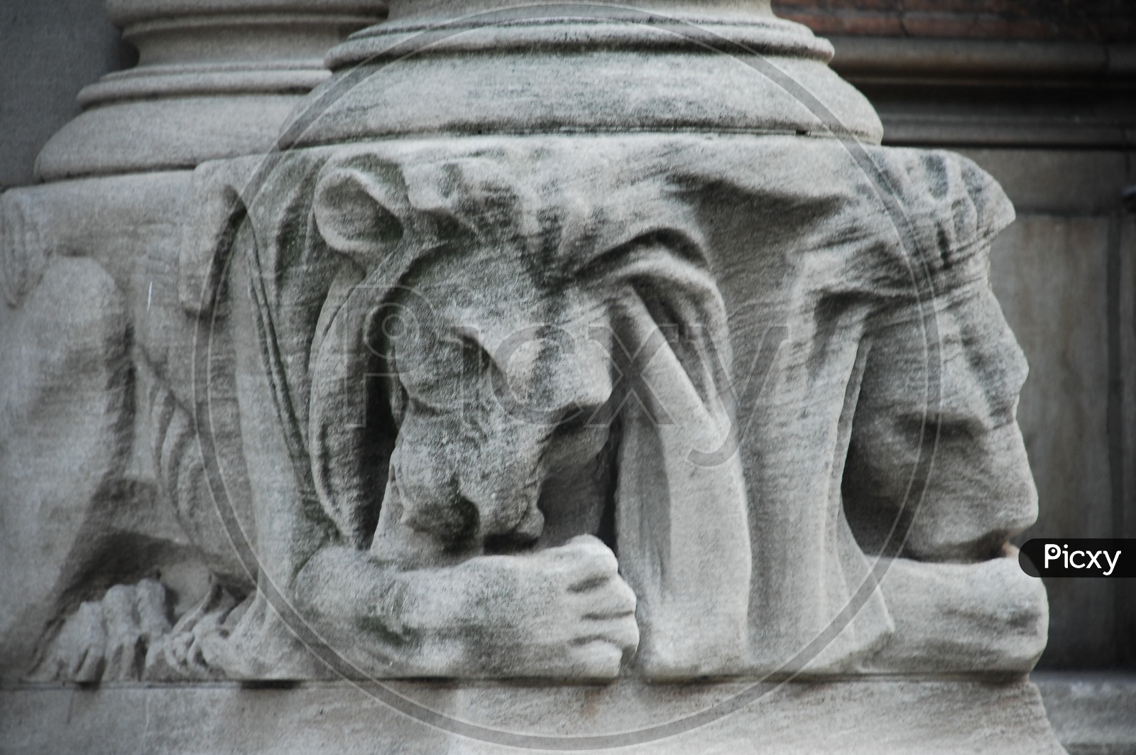 A stone carving of Lion's face