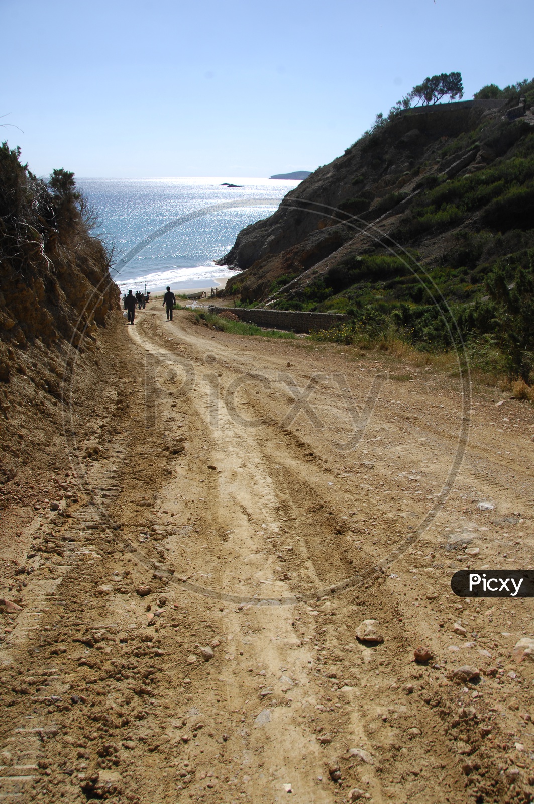 A Dirt road through the beach
