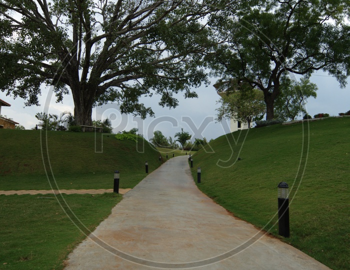 Pathways In a Park