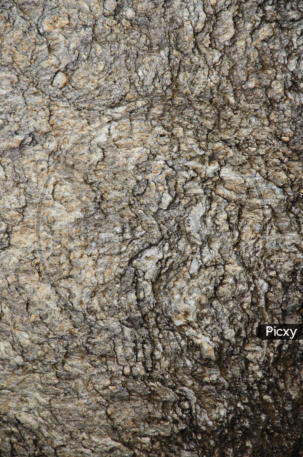 Close shot of a black rock