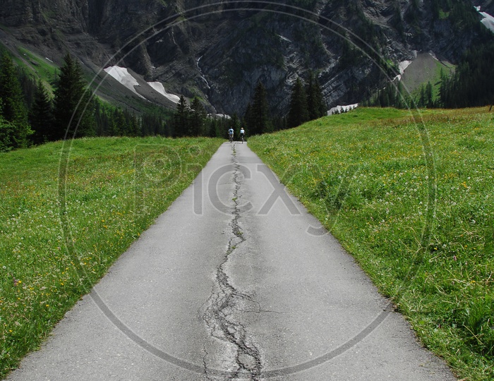 Roadway through the Swiss Alps