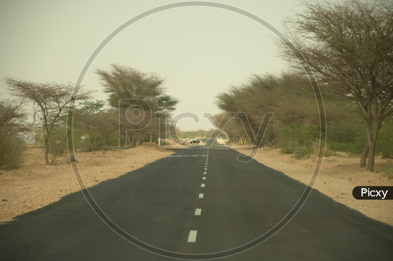 Roadways of Rajasthan