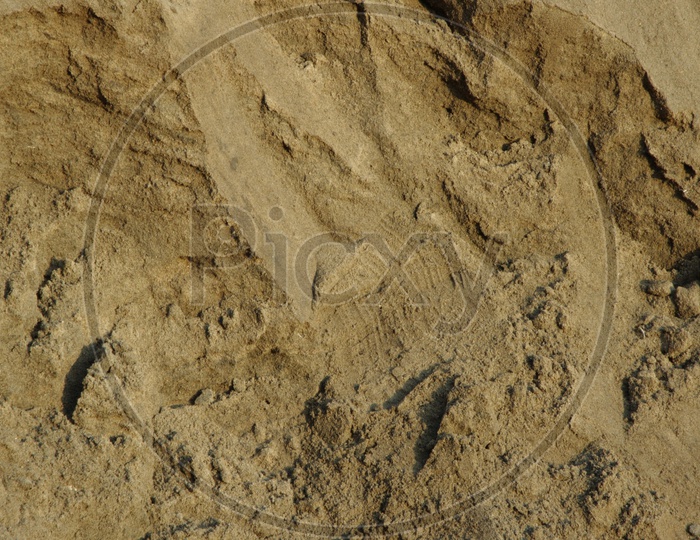 Textures on Sand Dunes
