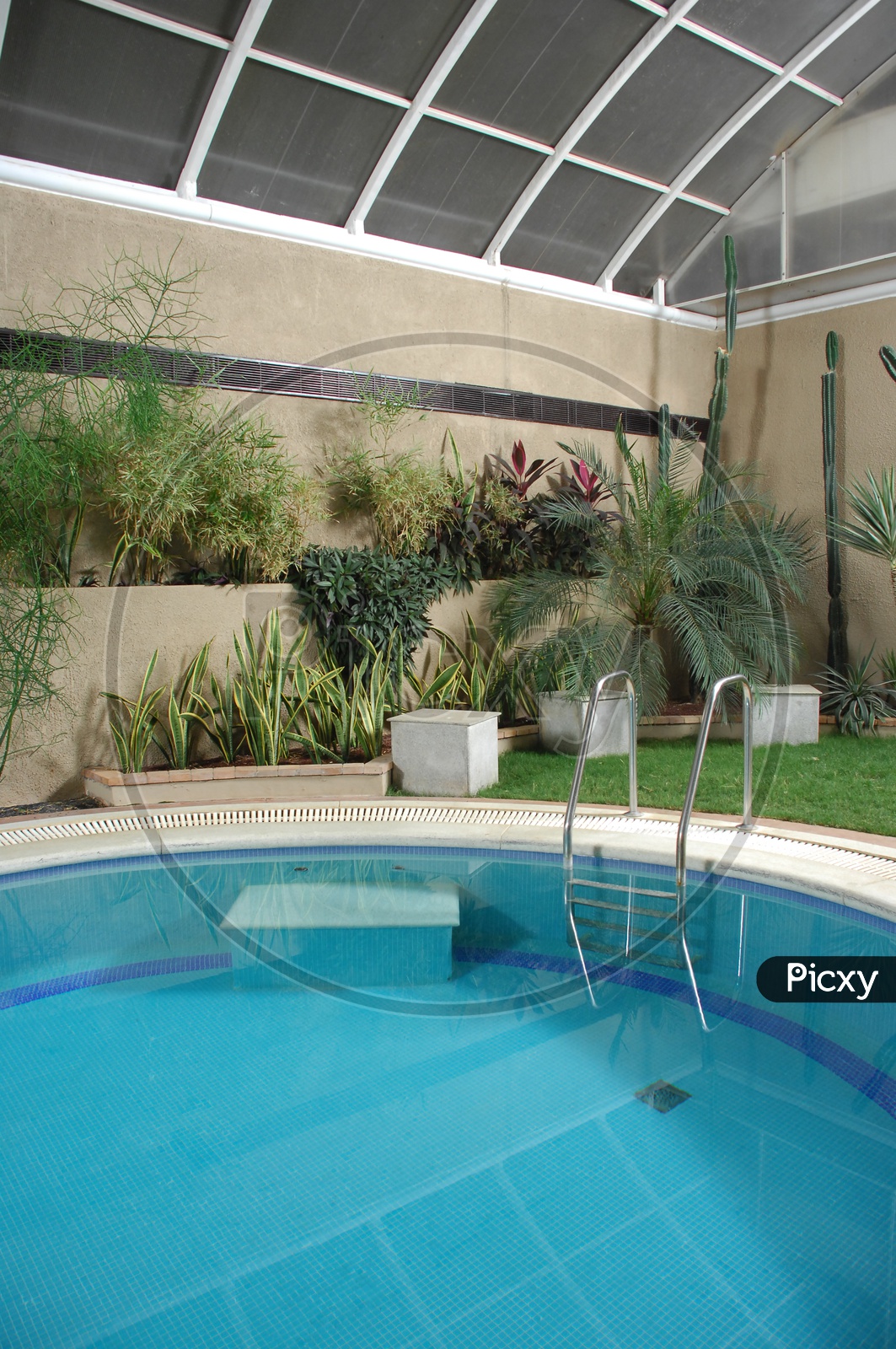 Backyard Swimming pool with plants and lawn around
