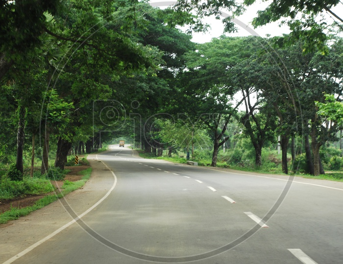 An empty road with large trees on the both sides