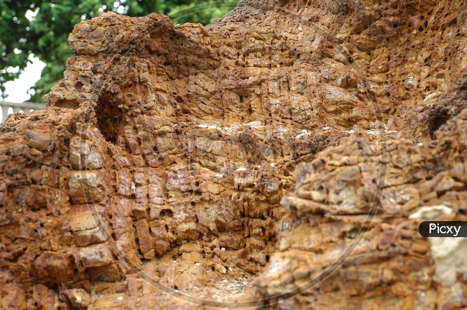 Close shot of a rock