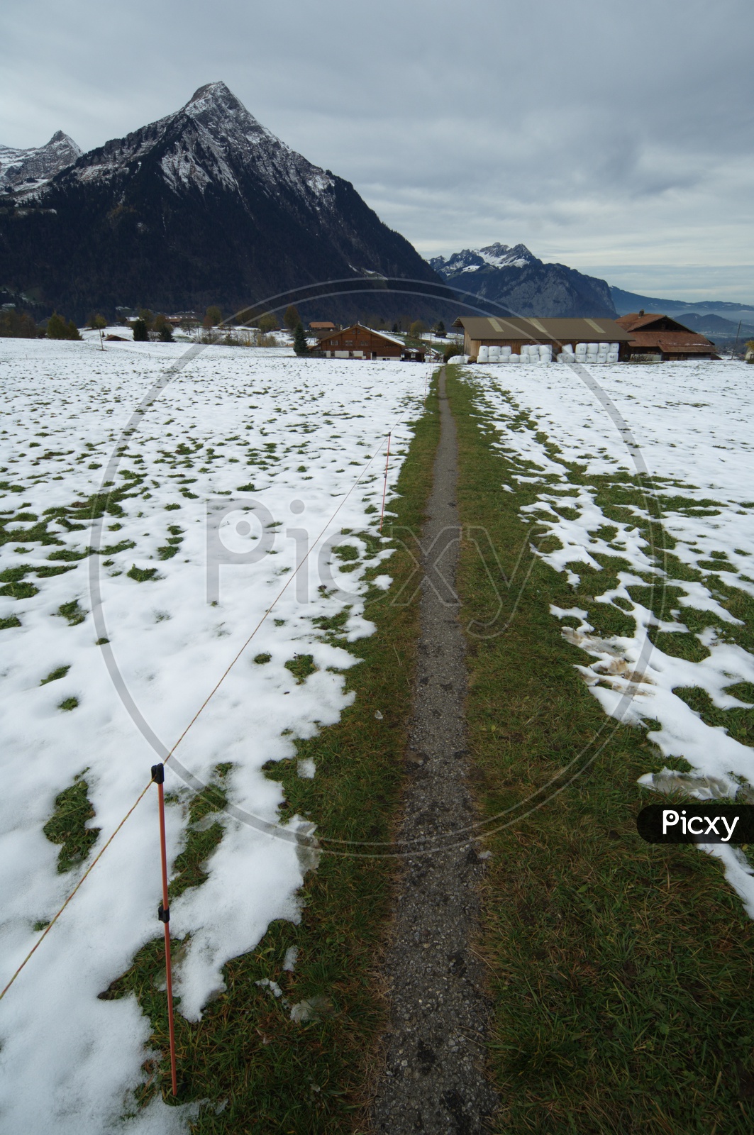 Grass covered with snow alongside the Swiss Alps