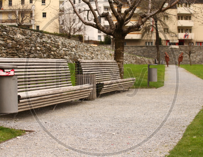 Wooden Benches in the park