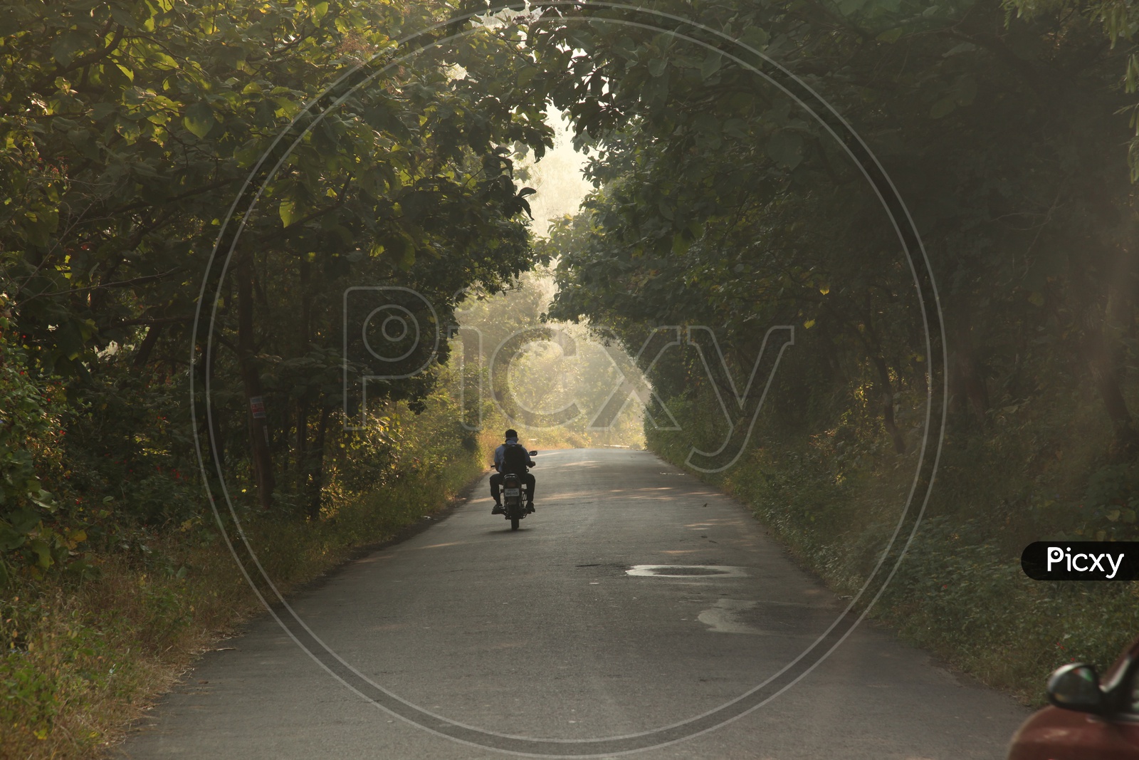 A man riding motorcycle on the road