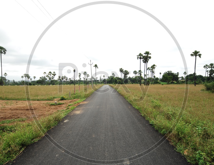 Roads In Rural Villages