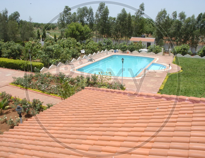 Top view of Backyard Swimming pool