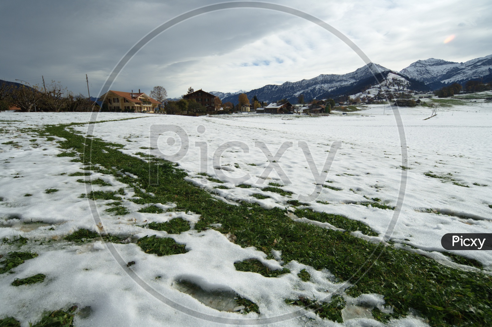 Grassland covered with snow alongside the Swiss Alps