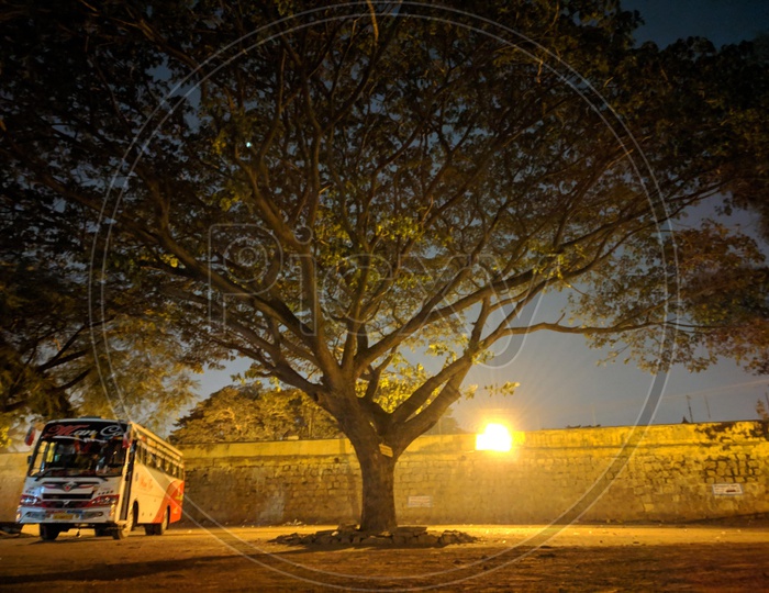 A travel Bus Parked Under A Tree