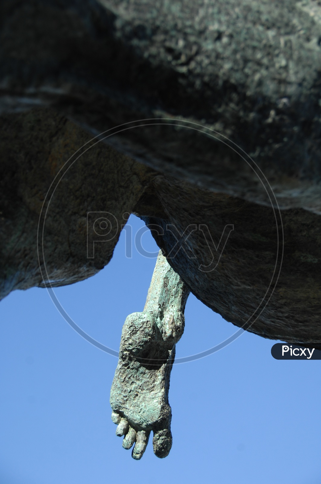 Horse Statue Leg Closeup